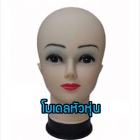 AN15 โมเดลหัวหุ่น