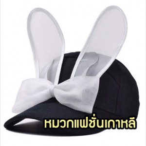 CapW32-01 หมวกแฟชั่นเกาหลี หูกระต่าย A