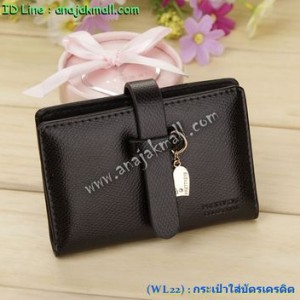 WL22-02 กระเป๋าบัตรเครดิตแฟชั่นเกาหลี สีดำ