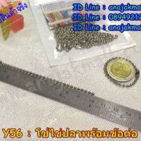 Y56-01 โซ่ไข่ปลาพร้อมข้อต่อ สีนิเกิล 10cm.