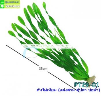PT29-01 ต้นไม้เทียม สาหร่ายทะเลเขียว